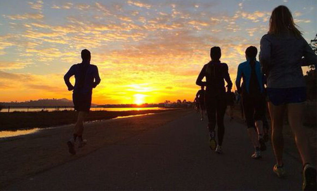 毕节计步器问答案例